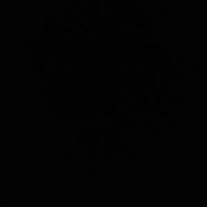 Meet your Posher, Alan